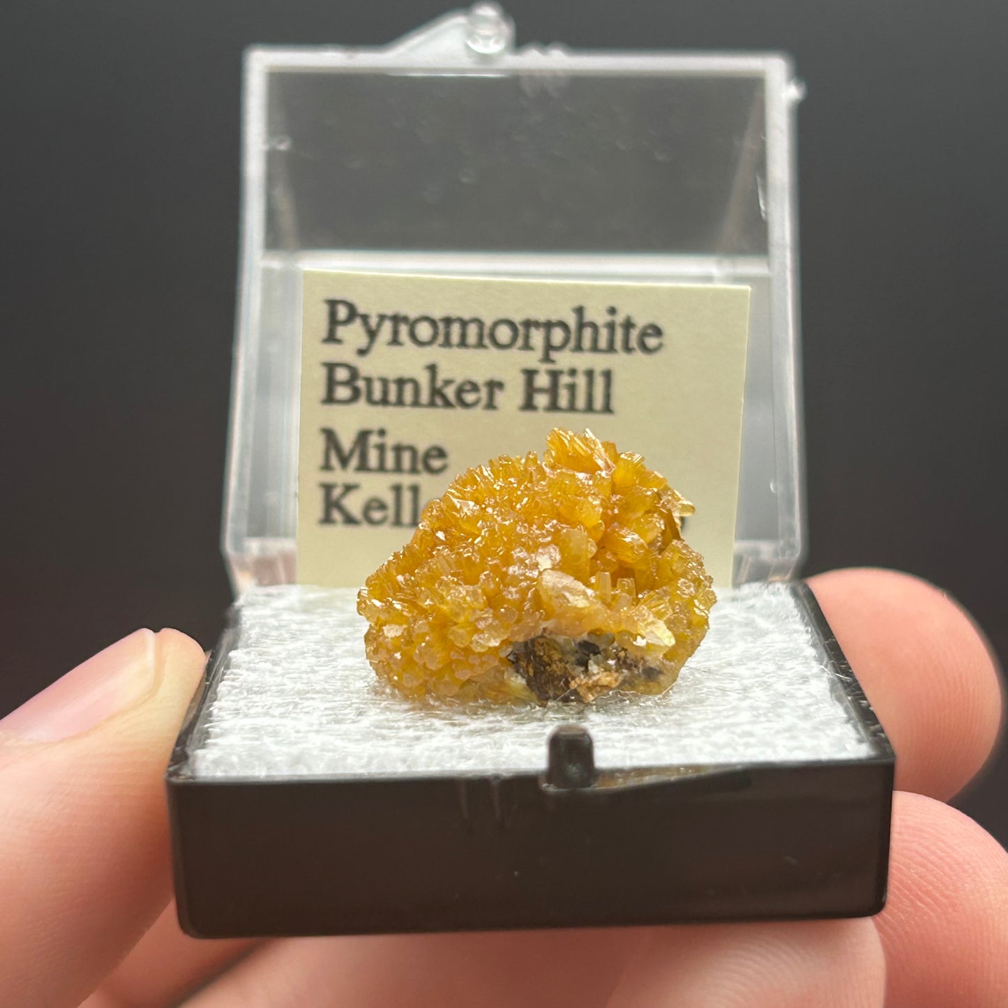 Pyromorphite - Bunker Hill Mine, Idaho