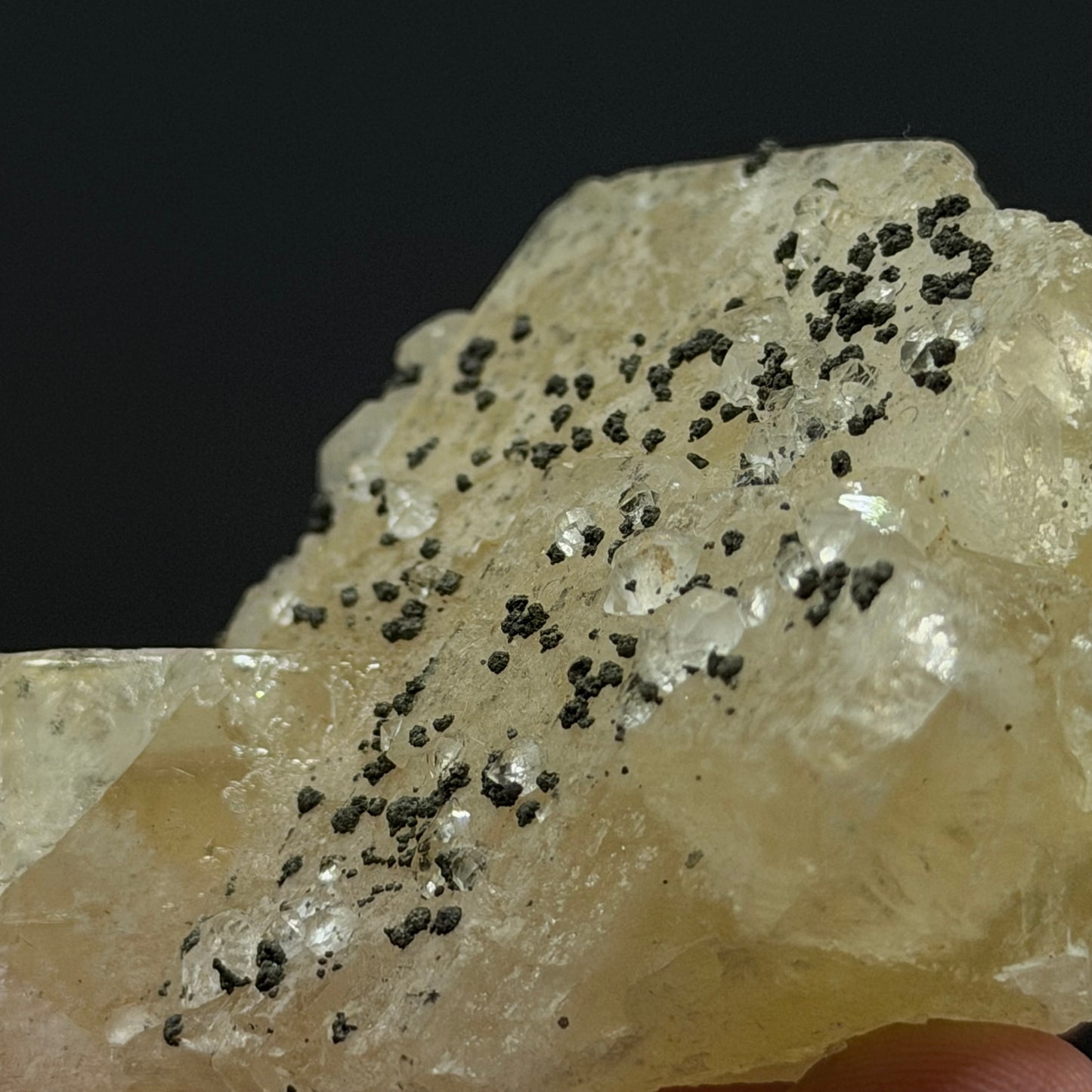 Chalcopyrite on Fluorite - Morocco
