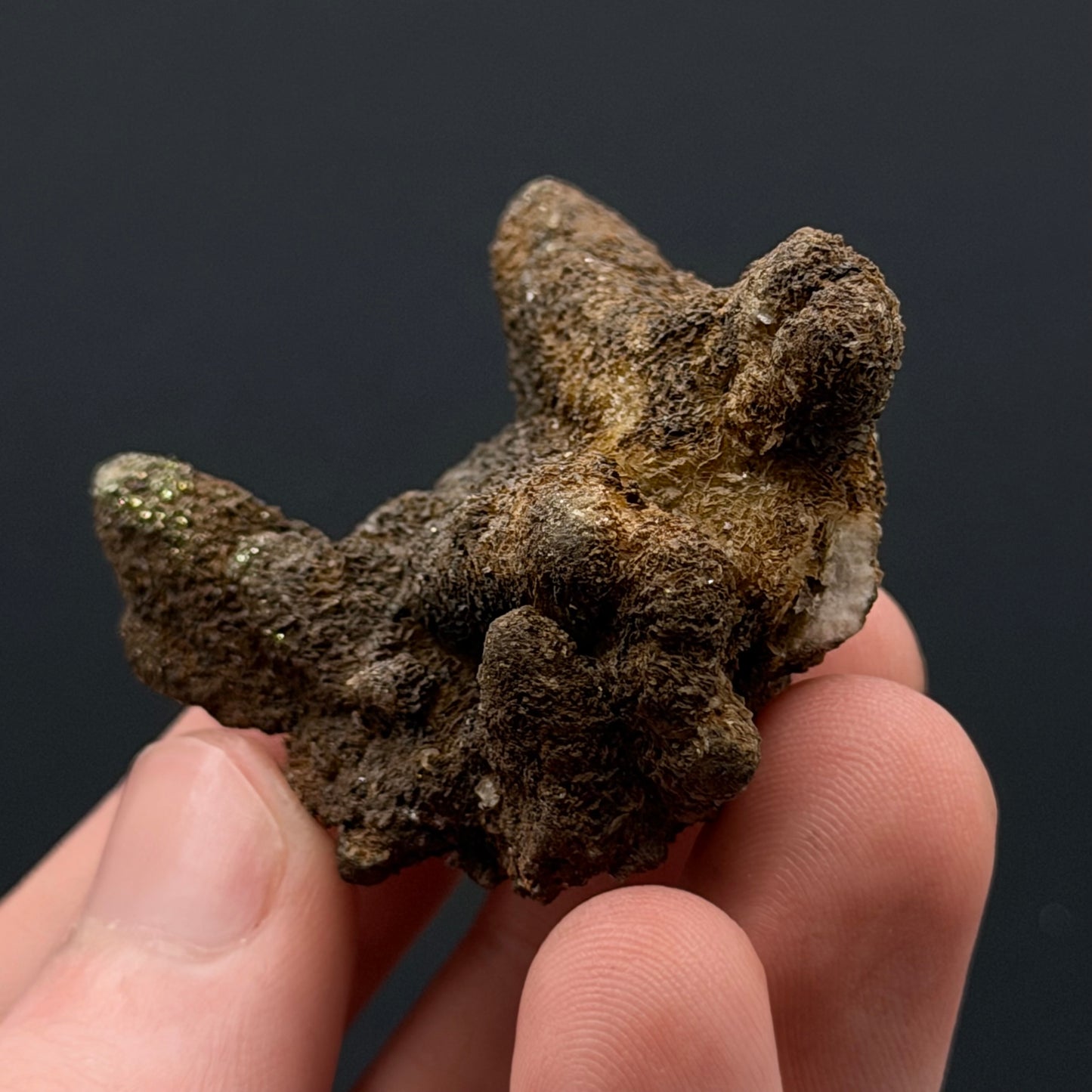 Calcite / Pyrite - Australia