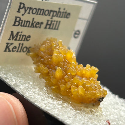 Pyromorphite - Bunker Hill Mine, Idaho