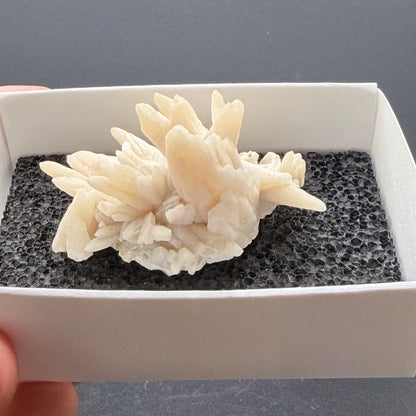Calcite - Cave in Rock, Illinois