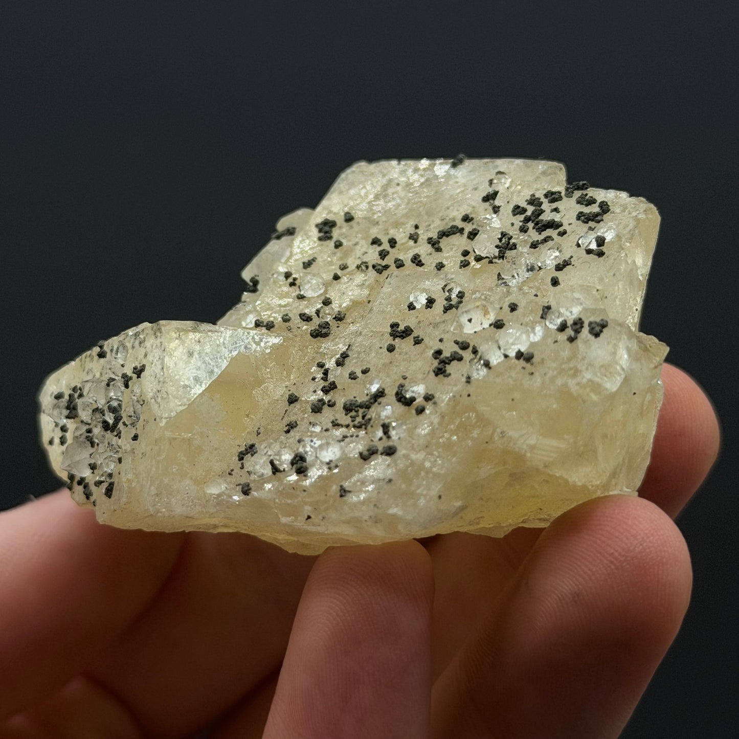 Chalcopyrite on Fluorite - Morocco