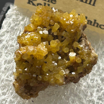 Pyromorphite - Bunker Hill Mine, Idaho