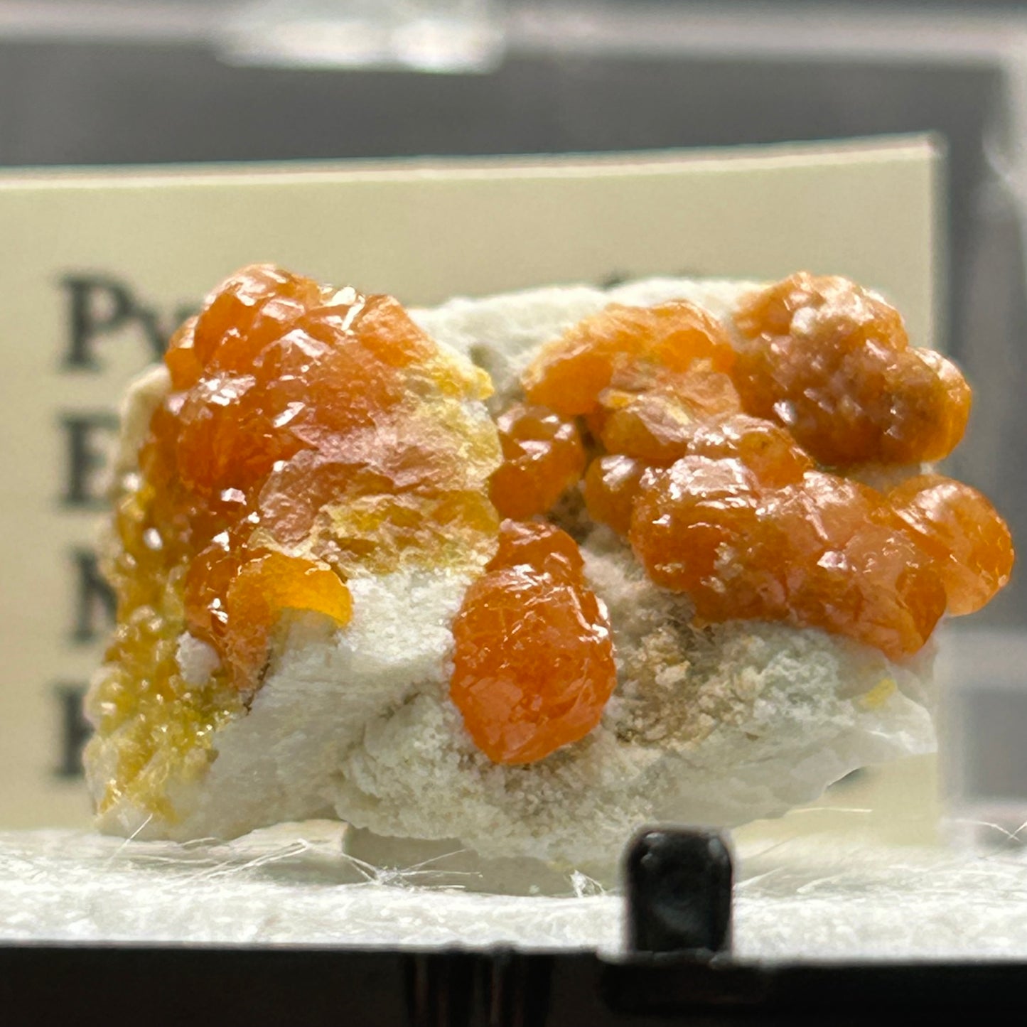 Pyromorphite - Bunker Hill Mine, Idaho