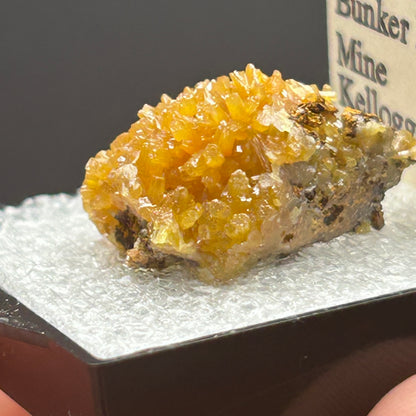Pyromorphite - Bunker Hill Mine, Idaho