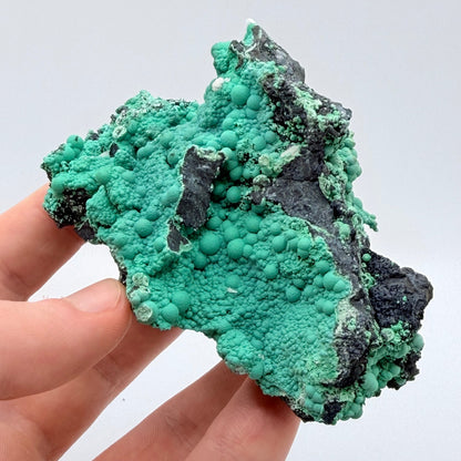 Chrysocolla - Planet Mine