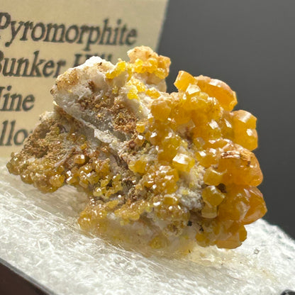 Pyromorphite - Bunker Hill Mine, Idaho