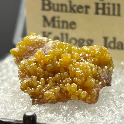 Pyromorphite - Bunker Hill Mine, Idaho