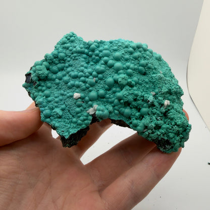 Chrysocolla - Planet Mine