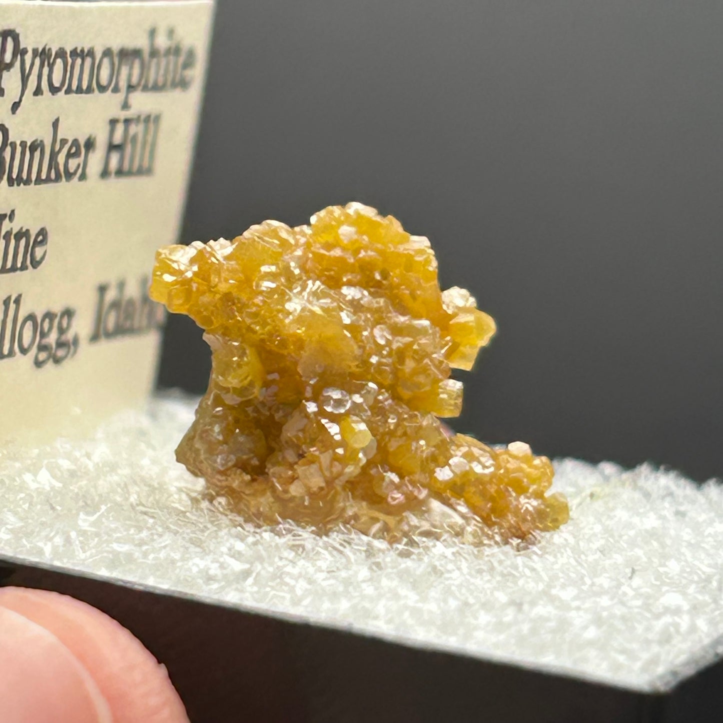 Pyromorphite - Bunker Hill Mine, Idaho