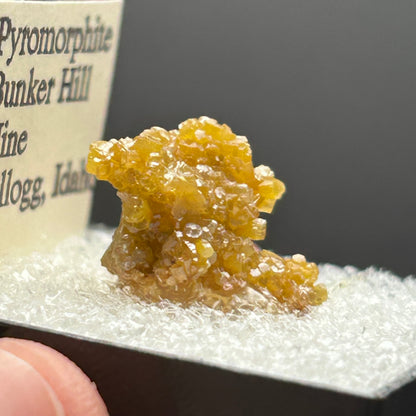 Pyromorphite - Bunker Hill Mine, Idaho