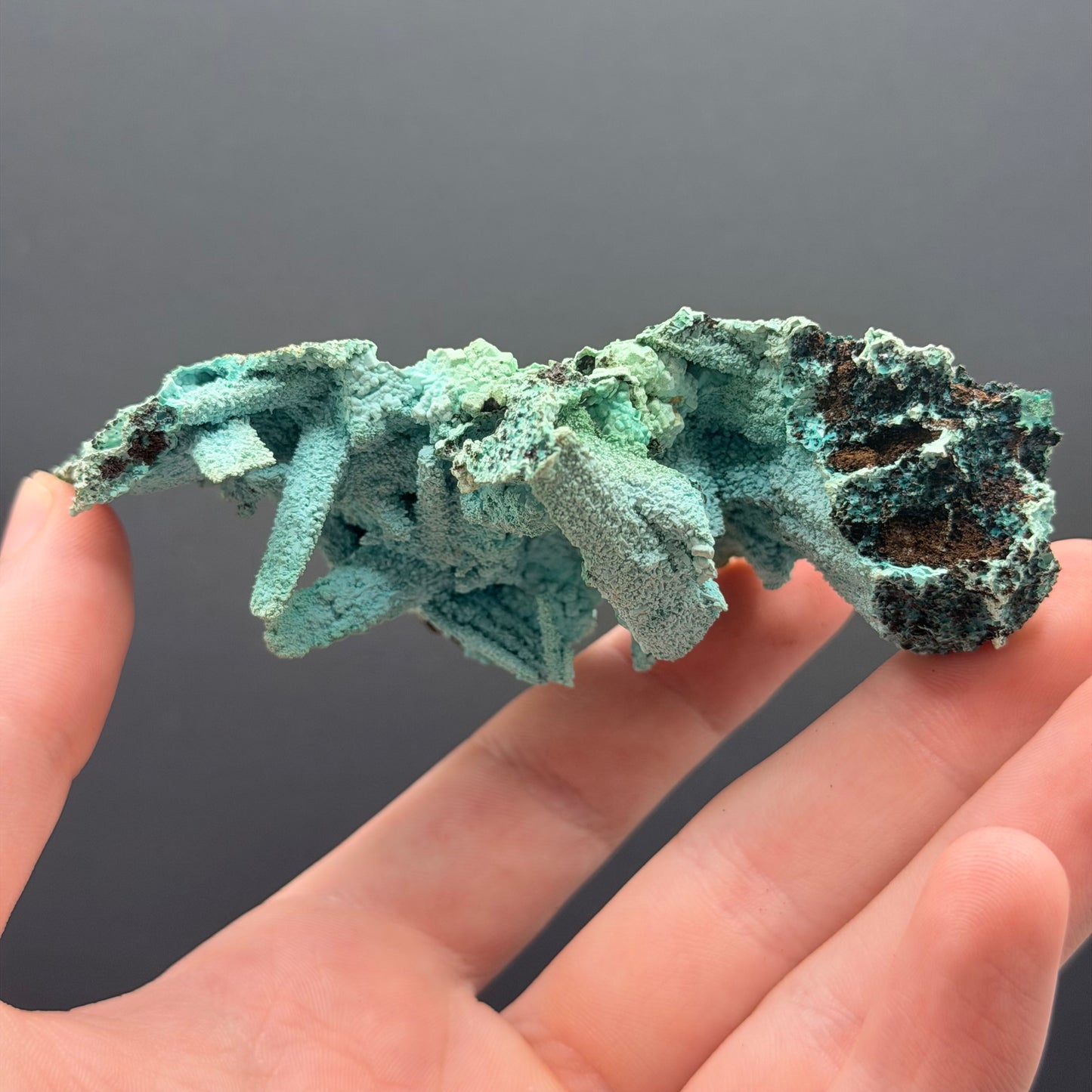 Chrysocolla pseudomorph after Gypsum - DRC