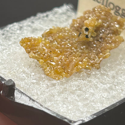 Pyromorphite - Bunker Hill Mine, Idaho