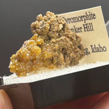 Pyromorphite - Bunker Hill Mine, Idaho