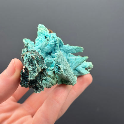 Chrysocolla pseudomorph after Gypsum - DRC