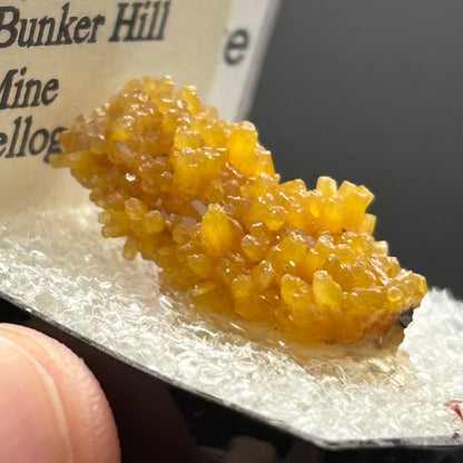 Pyromorphite - Bunker Hill Mine, Idaho
