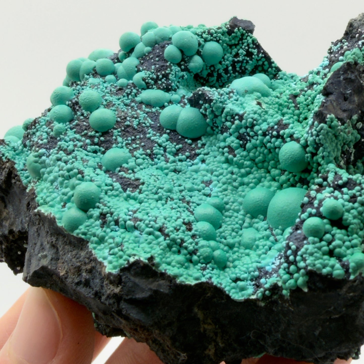 Chrysocolla - Planet Mine