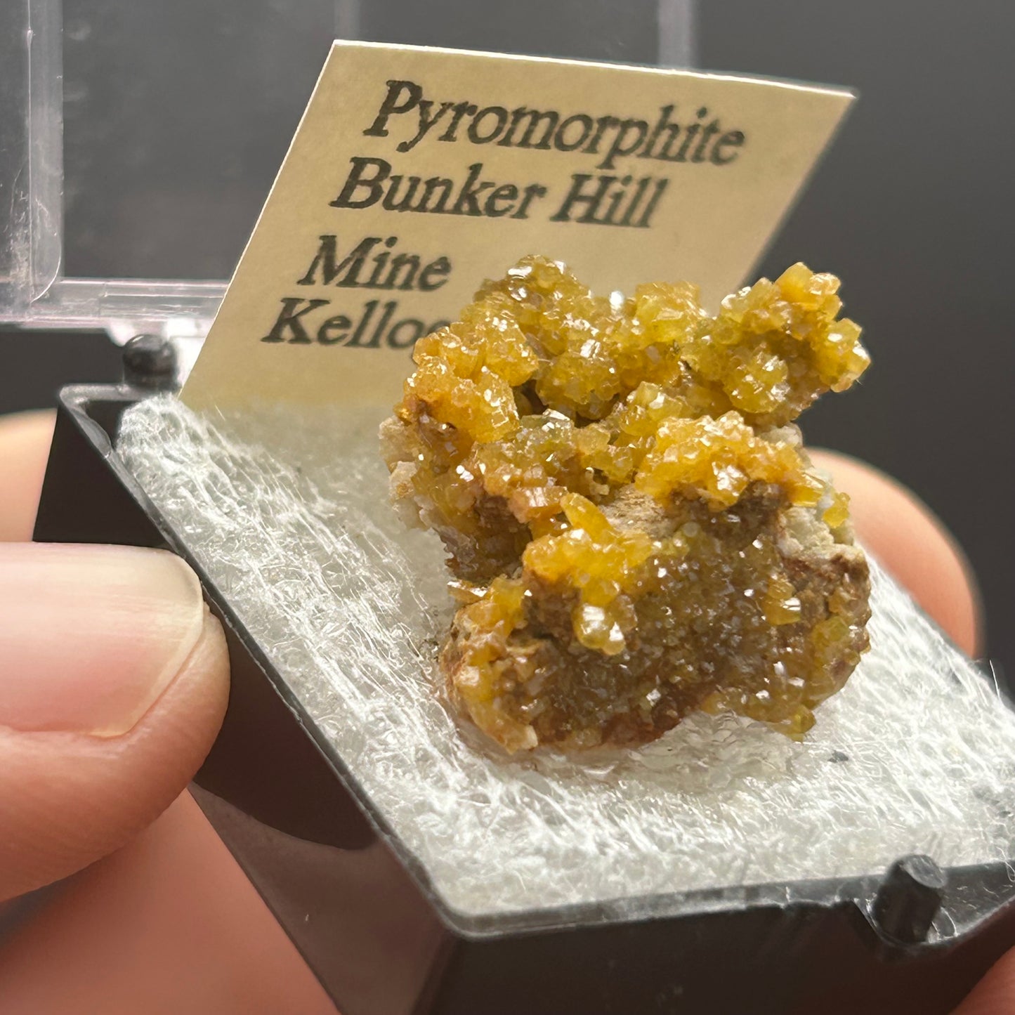 Pyromorphite - Bunker Hill Mine, Idaho