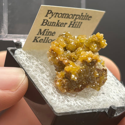 Pyromorphite - Bunker Hill Mine, Idaho