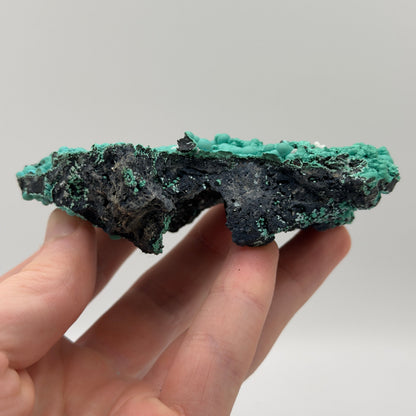Chrysocolla - Planet Mine