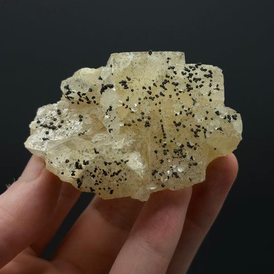 Chalcopyrite on Fluorite - Morocco