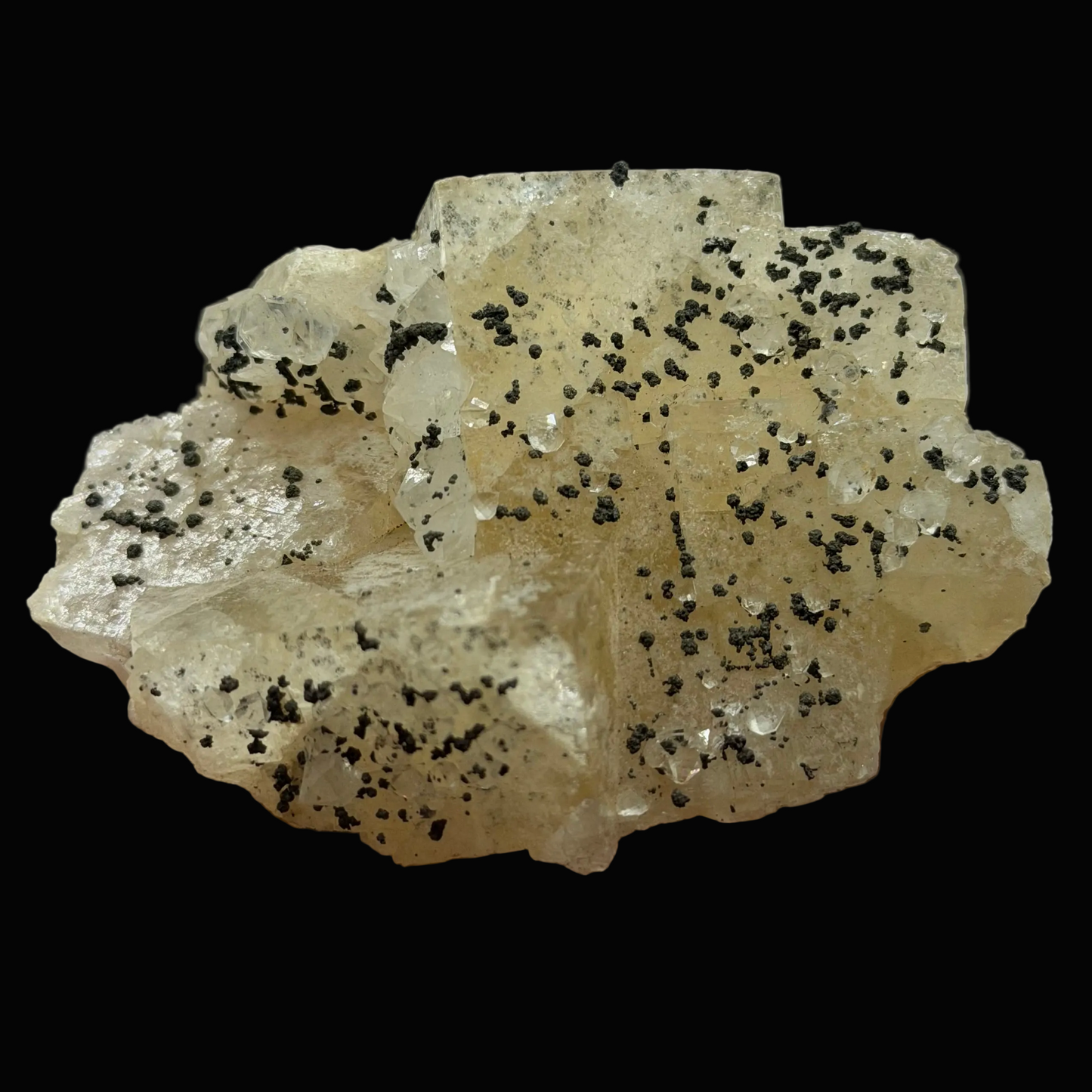 Chalcopyrite on Fluorite - Morocco