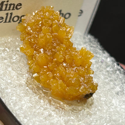 Pyromorphite - Bunker Hill Mine, Idaho