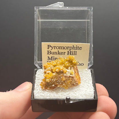 Pyromorphite - Bunker Hill Mine, Idaho
