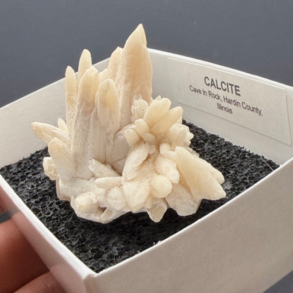 Calcite - Cave in Rock, Illinois