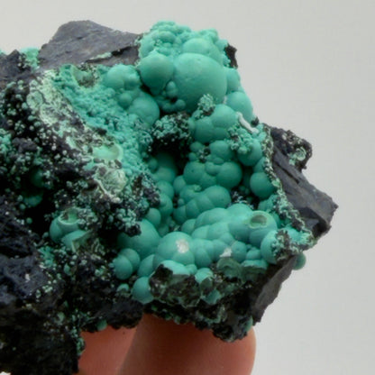 Chrysocolla - Planet Mine