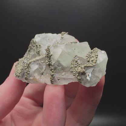 Chalcopyrite on Fluorite - Morocco