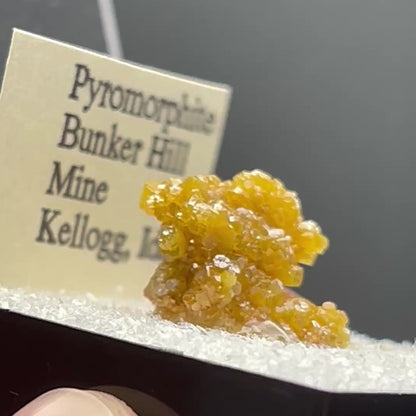Pyromorphite - Bunker Hill Mine, Idaho