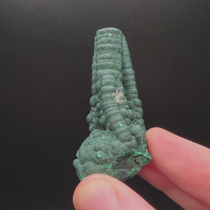 Stalactite de malachite - Congo