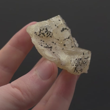 Chalcopyrite on Fluorite - Morocco
