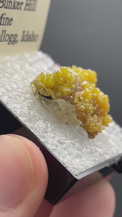 Pyromorphite - Bunker Hill Mine, Idaho