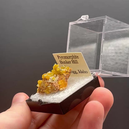 Pyromorphite - Bunker Hill Mine, Idaho