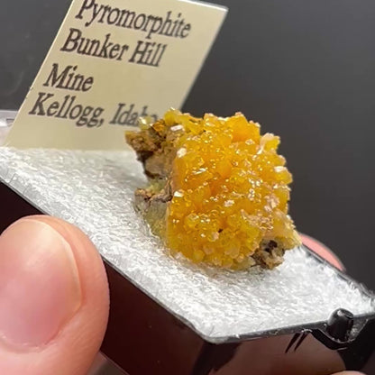 Pyromorphite - Bunker Hill Mine, Idaho