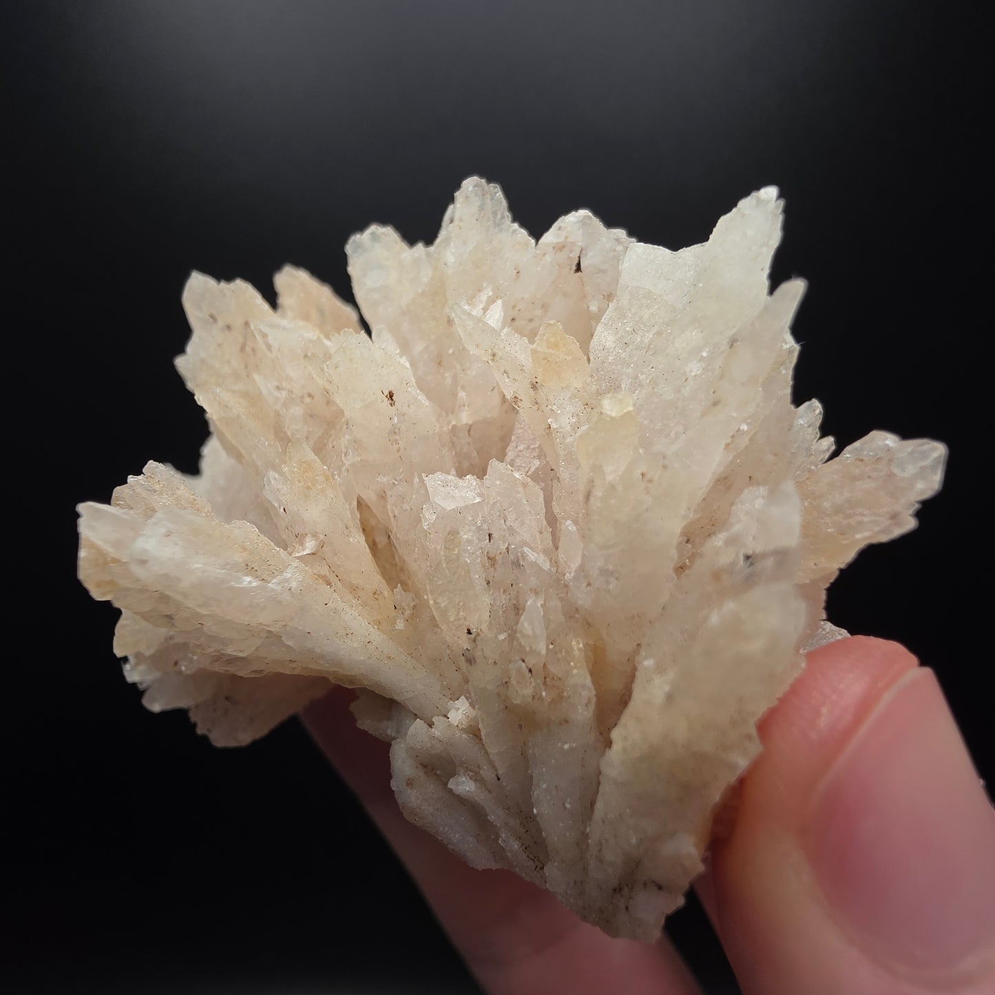 Calcite - Dalnegorsk, Russia