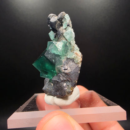 Fluorite on Galena - Diana Maria