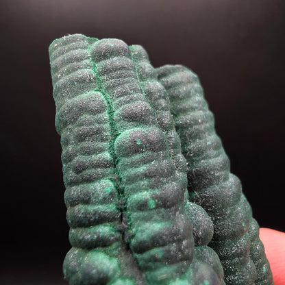 Stalactite de malachite - Congo