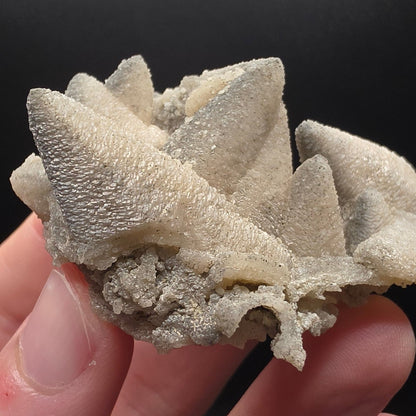 Dolomite after Calcite - France