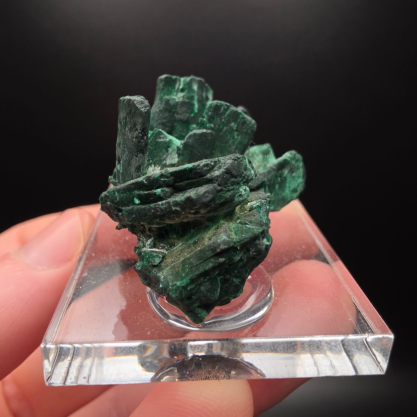Malachite after Azurite - Morocco