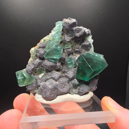 Fluorite on Galena - Diana Maria