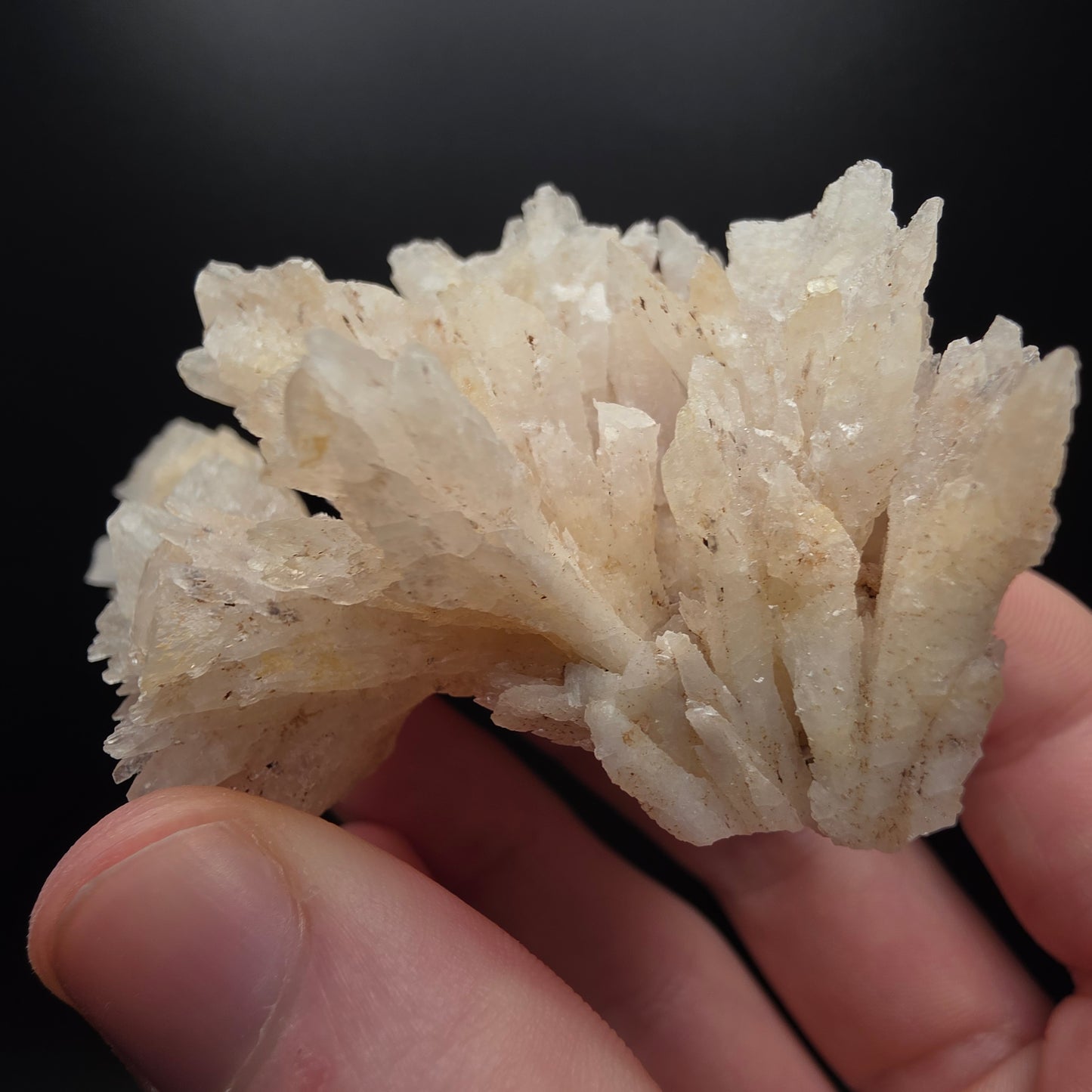 Calcite - Dalnegorsk, Russia