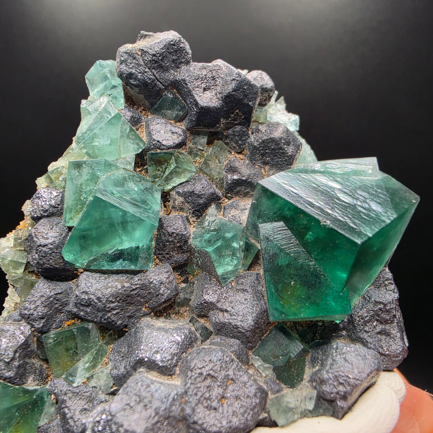 Fluorite on Galena - Diana Maria