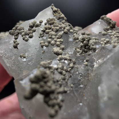 Chalcopyrite on Fluorite - Morocco