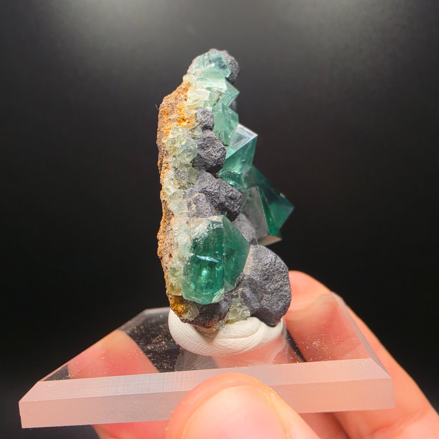 Fluorite on Galena - Diana Maria
